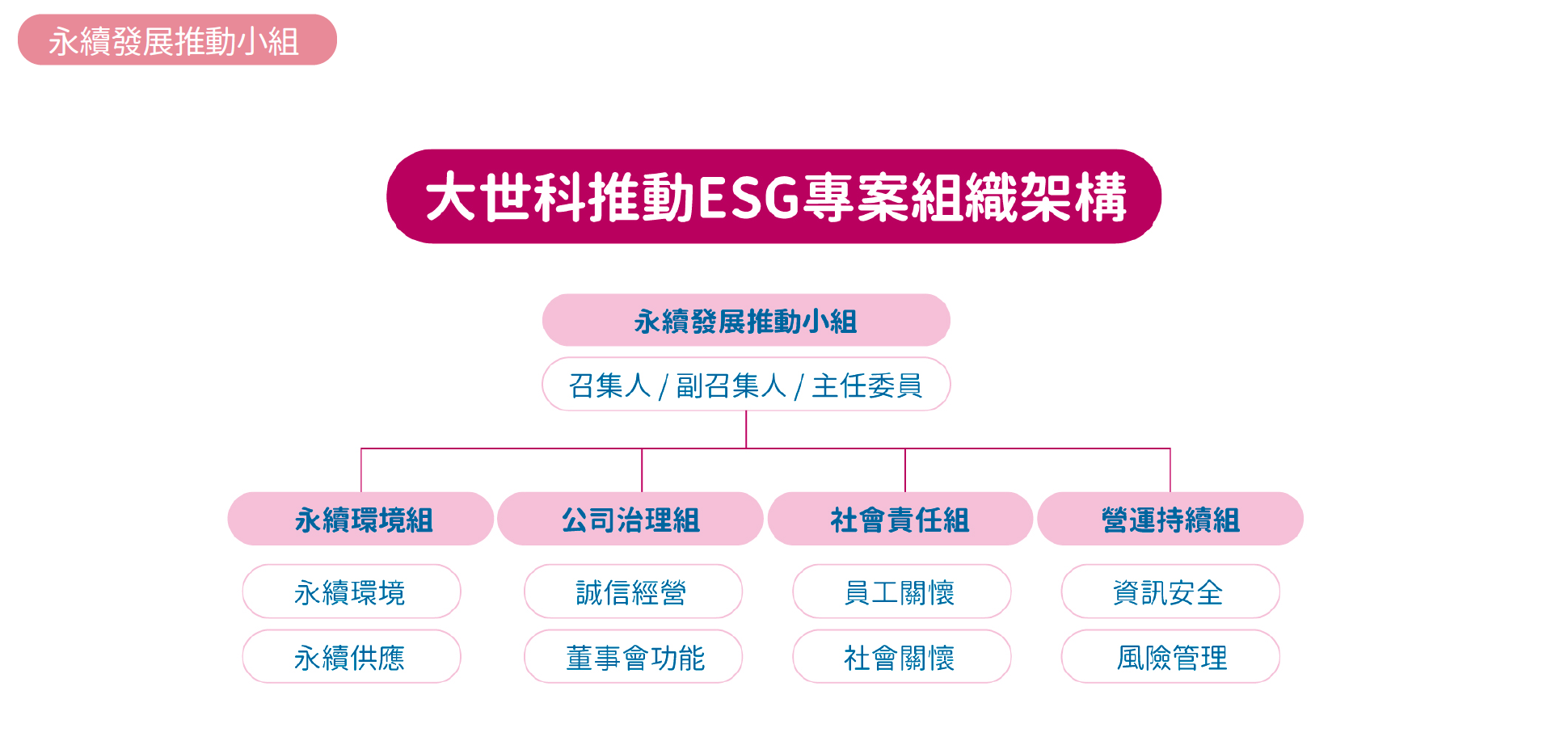 ESG 永續發展推動小組，各任務編組依推動負責項目：永續環境、公司治理、社會責任、營運持續