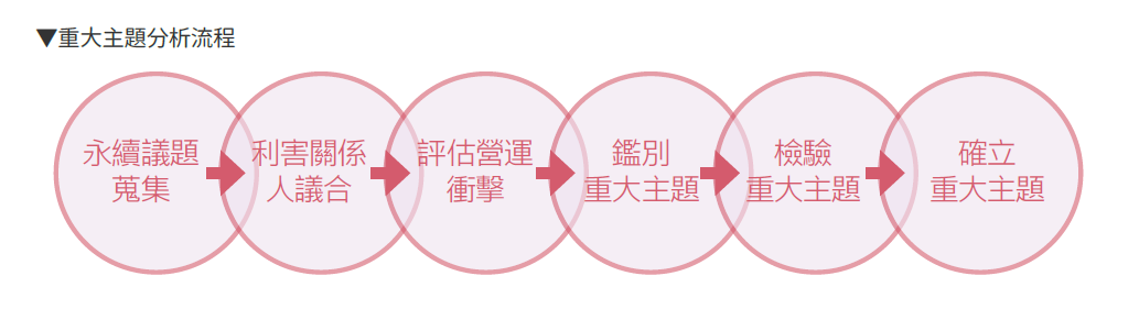 重大主題分析流程